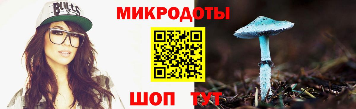 Галлюциногенные грибы Psilocybine cubensis Урус-Мартан